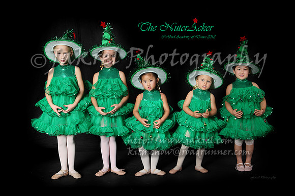Carlsbad Academy of Dance - Nutcracker 2012 Dance Portrait