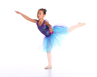 Shibata - TTP Sleeping Beauty 2013
