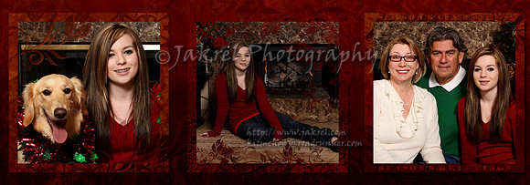 Holiday Card - Trifold Outside