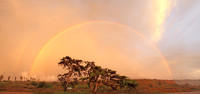 Sunset Rainbow