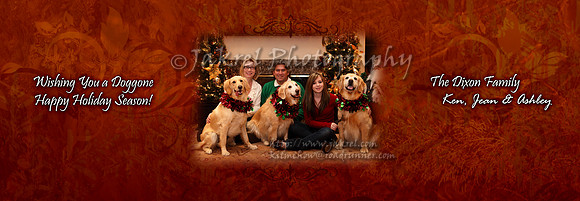 Holiday Card - Trifold Inside